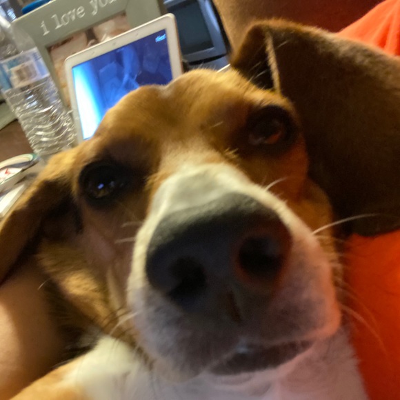 Meet your Posher, Tyler - Picture 1 of 1